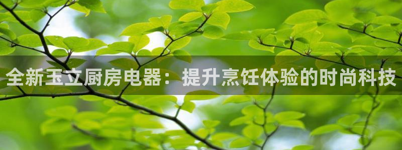 风暴新娱乐