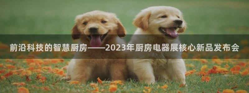 风暴娱乐开户