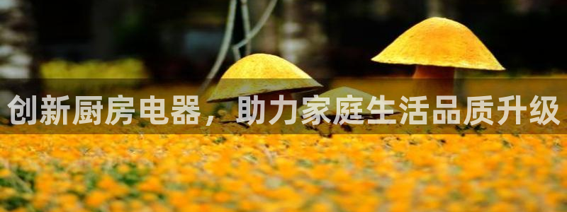 风暴娱乐乃六七五一38