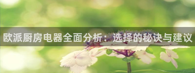 风暴娱乐官网开户
