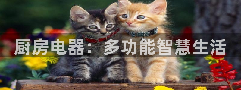风暴娱乐自动挂