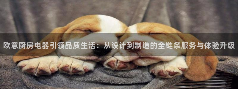 风暴娱乐有5指尖