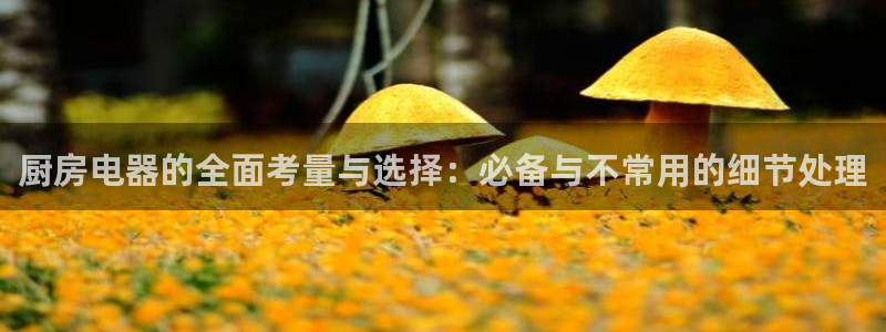 风暴娱乐地5指尖