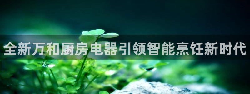 风暴娱乐5O6917