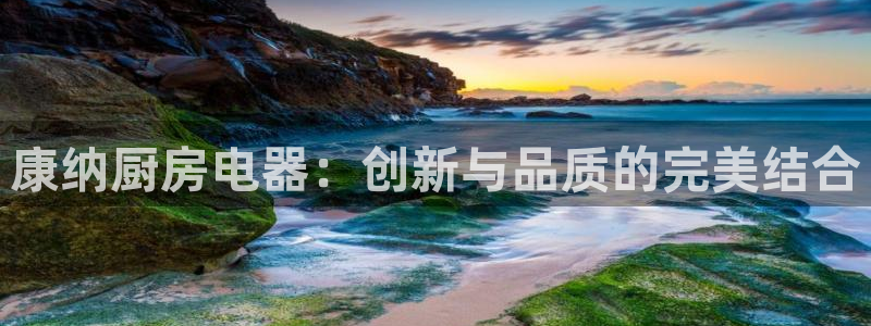 风暴官方娱乐