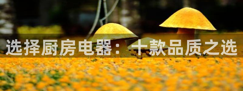下载风暴娱乐