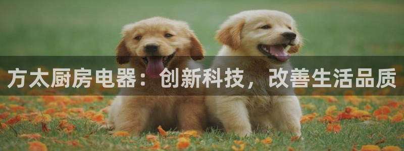风暴娱乐左5指尖