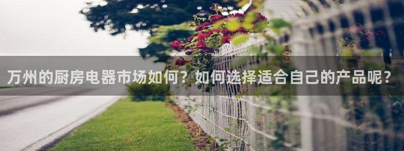 风暴娱乐右5指尖