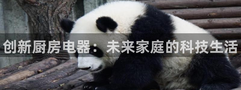 风暴平娱乐