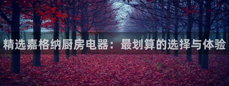 风暴平娱乐