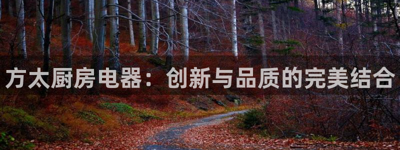 风暴娱乐