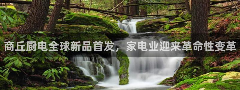 风暴新娱乐