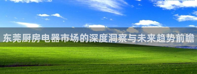 风暴眼娱乐