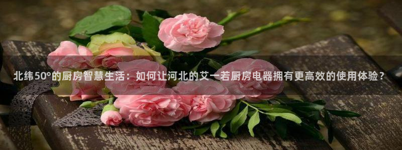 风暴娱乐线路