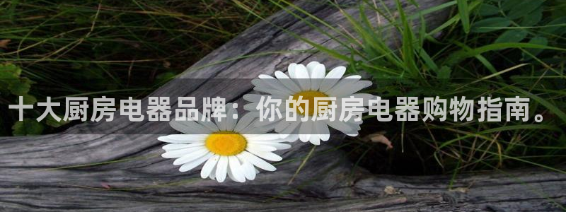 蓝色风暴娱乐