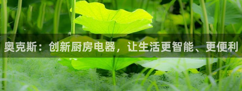 菲律宾风暴娱乐集团