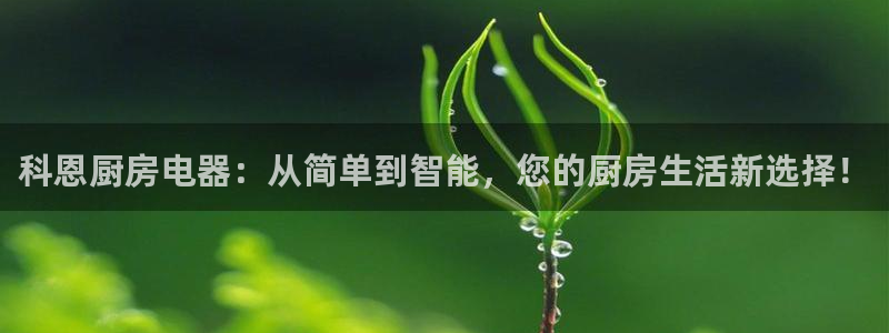 风暴娱乐图片