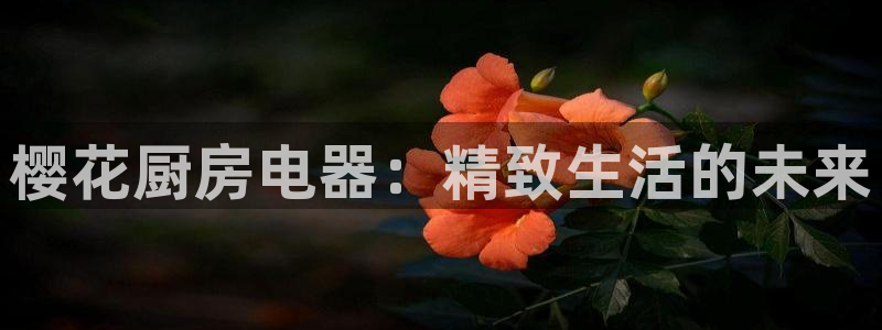 风暴娱乐首页