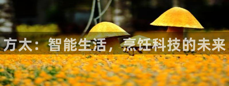 娱乐风暴二