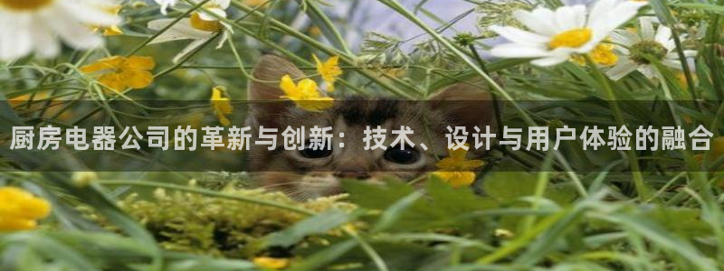 风暴娱乐字图片大全