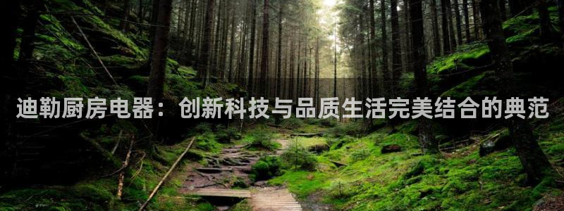 风暴娱乐求333OOf