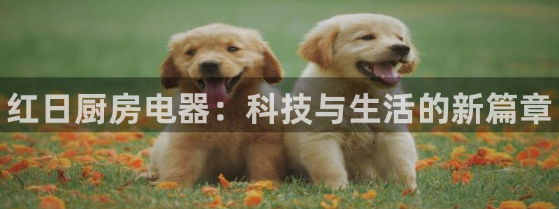 风暴娱乐右5指尖
