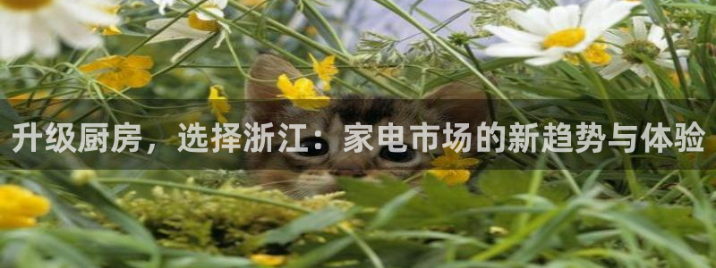 风暴娱乐上5指尖