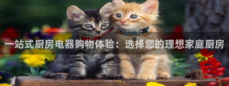 风暴平娱乐