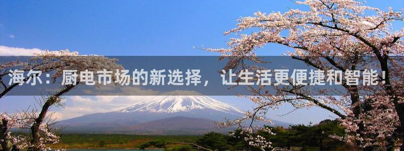 光风暴娱乐