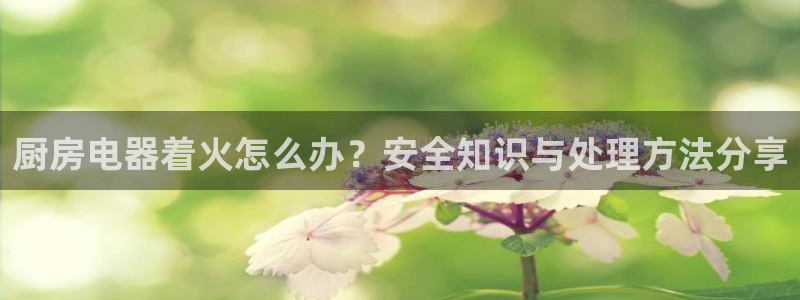 风暴娱乐记