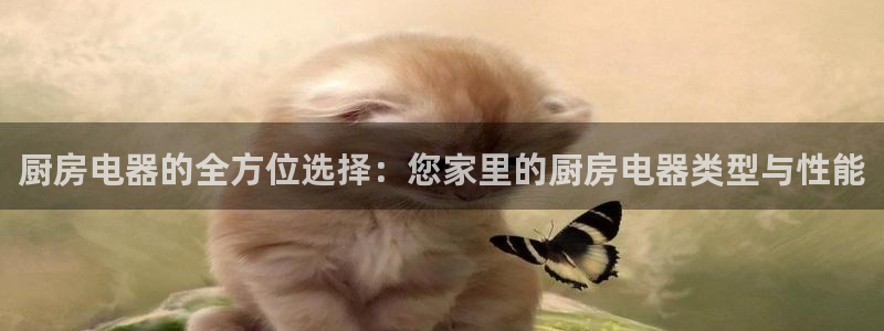 风暴娱乐1