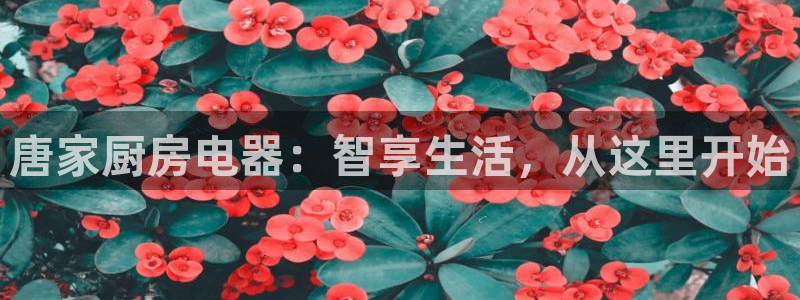 风暴娱乐官网开户