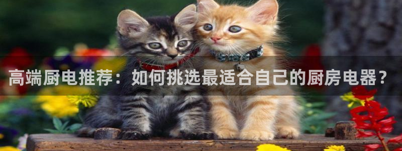 风暴新娱乐