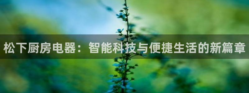 风暴娱乐图片