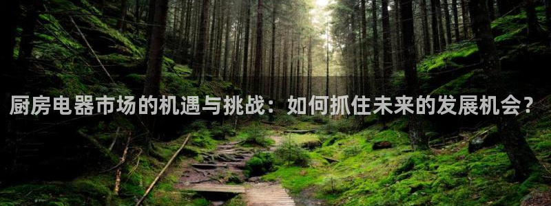 光风暴娱乐
