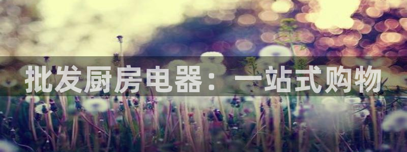 风暴官方娱乐