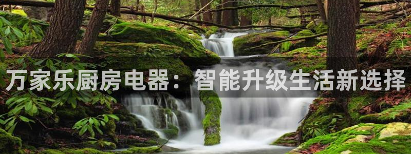 风暴娱乐首页