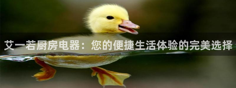 风暴娱乐派对
