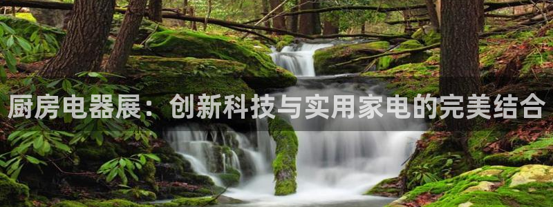 风暴娱乐官方网站