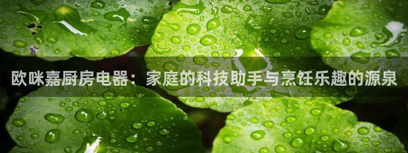4120051风暴娱乐