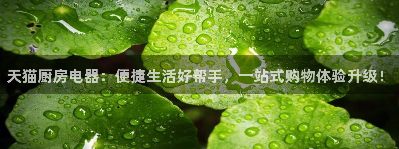 风暴娱乐主管是谁