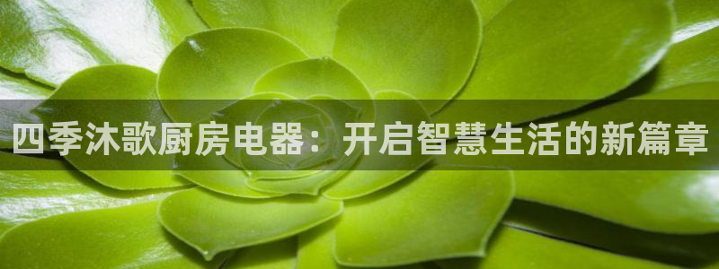 风暴娱乐套路