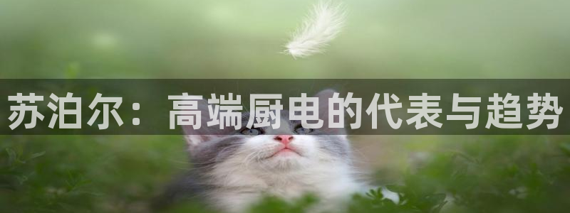 风暴娱乐记