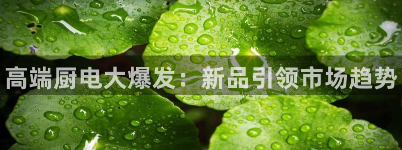 风暴娱乐344272