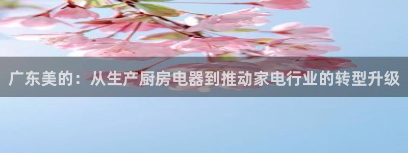 风暴娱乐求333OOc
