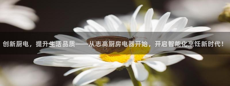 风暴数字娱乐