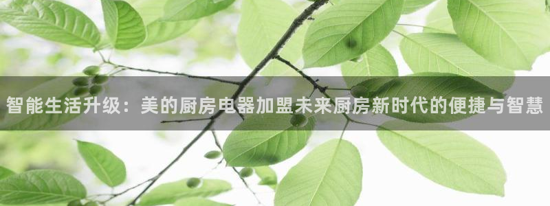 4120051风暴娱乐