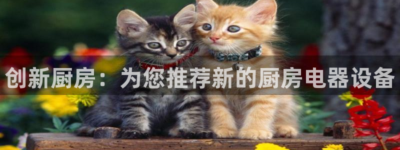 娱乐风暴2