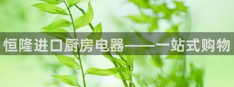 风暴娱乐部