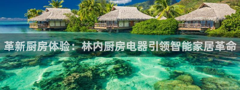 风暴娱乐部